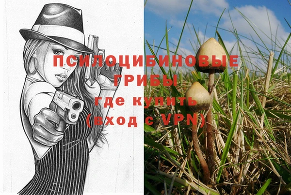 бошки Белокуриха