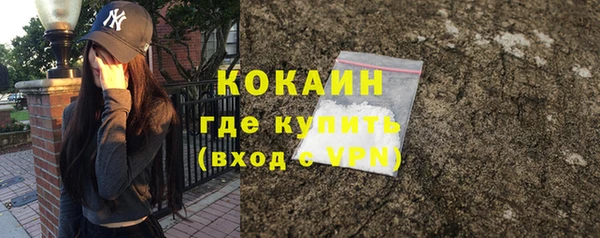 бошки Белокуриха