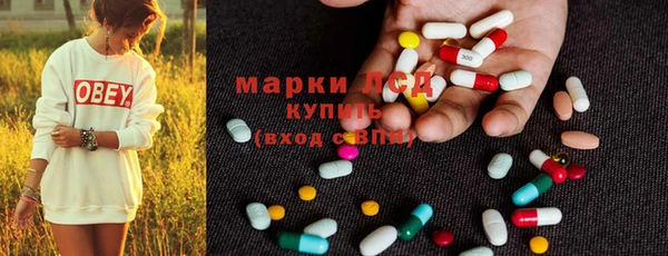 бошки Белокуриха