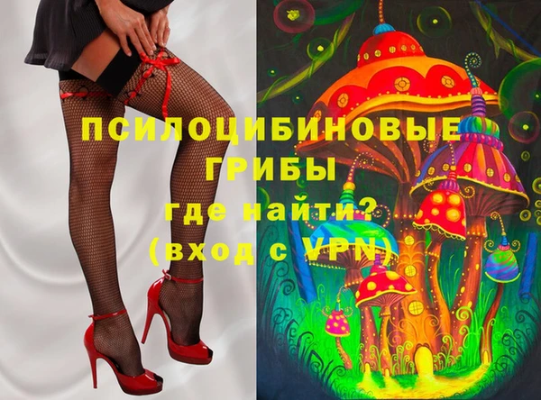 бошки Белокуриха