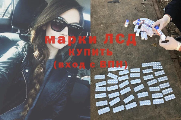 бошки Белокуриха