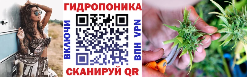 shop телеграм  Тихвин  Марихуана LSD WEED 